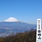金時山からの雪化粧する富士山