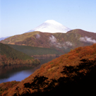 富士山と紅葉を同時に楽しめます。