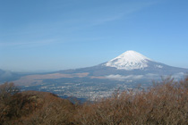 金時山からの富士山