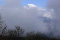 金時山登山道からの富士山