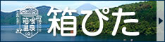 箱根の宿探し「箱根温泉 箱ぴた」