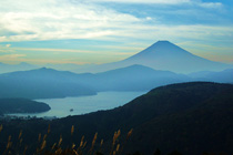 富士見峠付近からの富士山