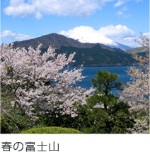 春の富士山