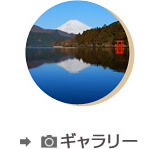 キャンペーン
